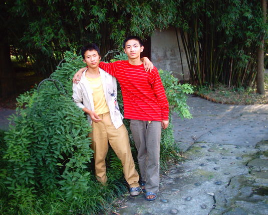 2006  (113)